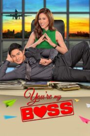 You’re My Boss (2015)