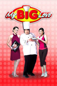 My Big Love (2008)