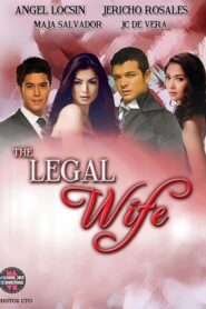 The Legal Wife: Season 1